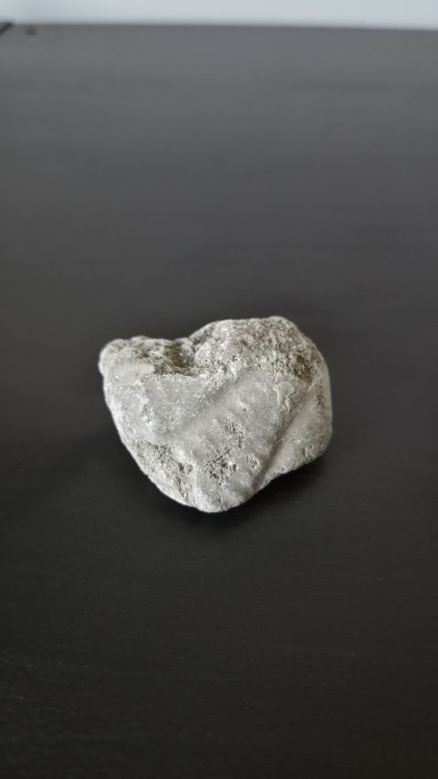 Partial Ammonite