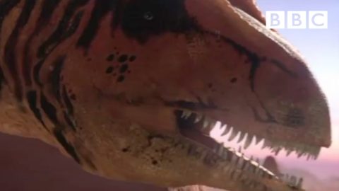 Allosaurus