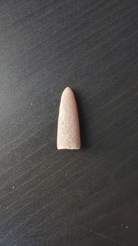 Belemnite