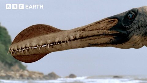 Ornithocheirus