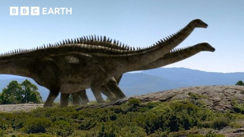 Diplodocus