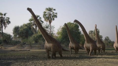 Rapetosaurus