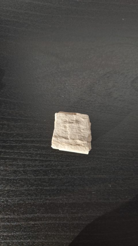 Petrified Wood