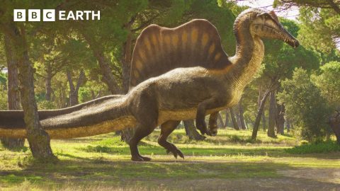 Spinosaurus