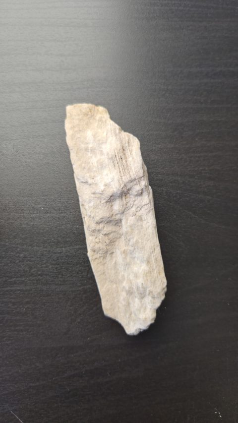 Petrified Wood